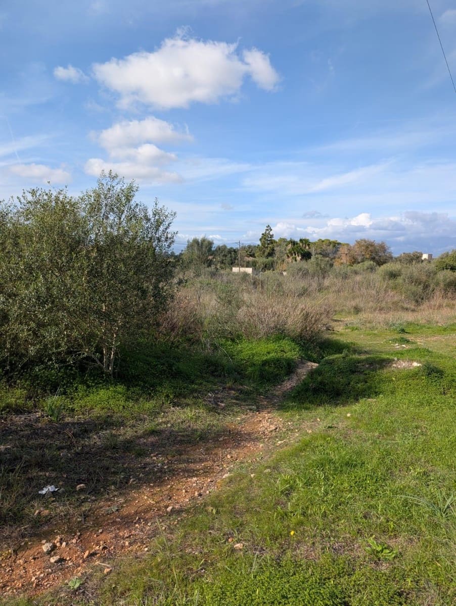Grunde uden byggetilladelser til salg i Sineu - € 250.000 (Ref: 9449202)