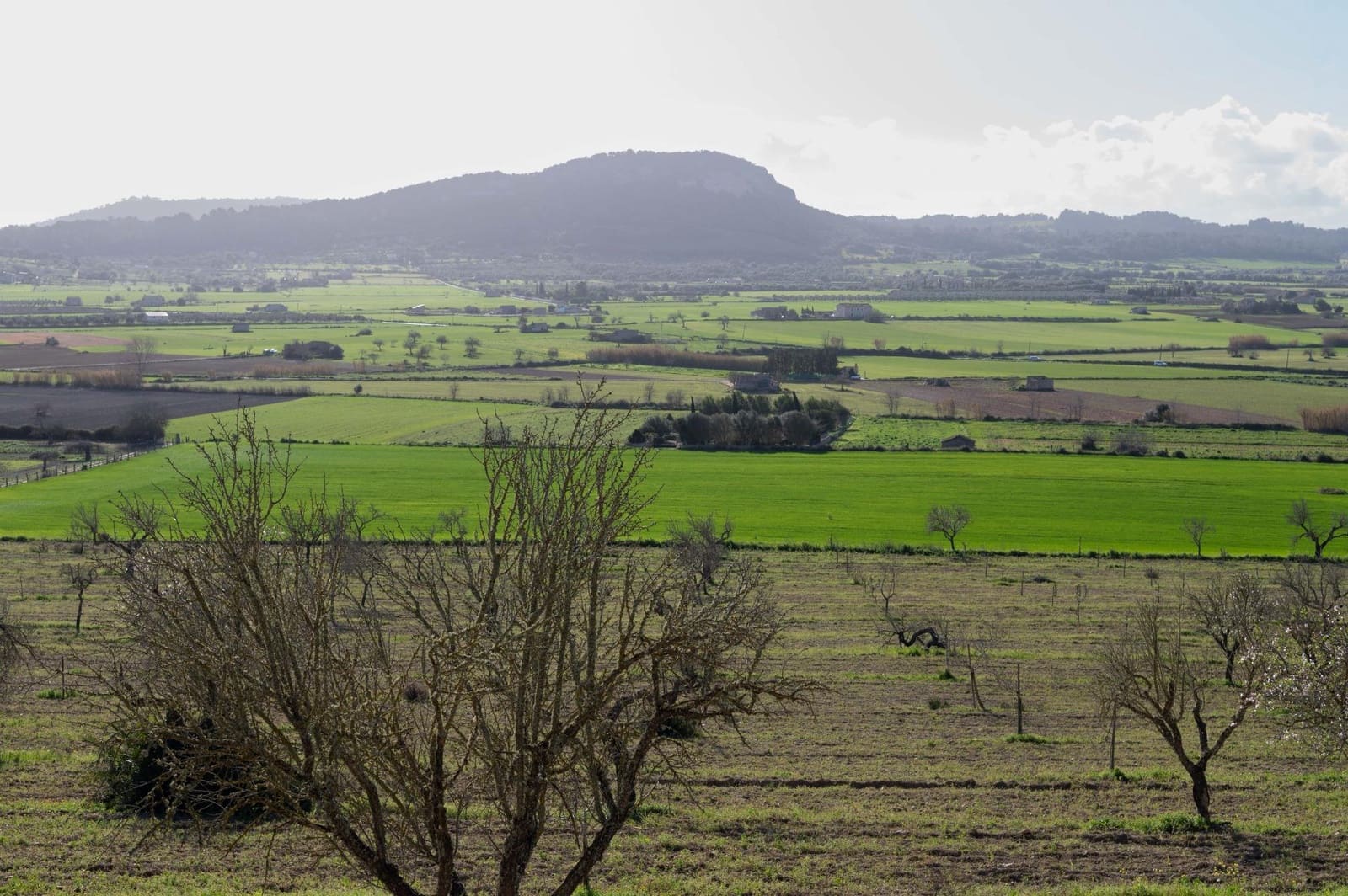 3 slaapkamer Finca/Landhuis te koop in Sineu met garage - € 2.200.000 (Ref: 9615471)