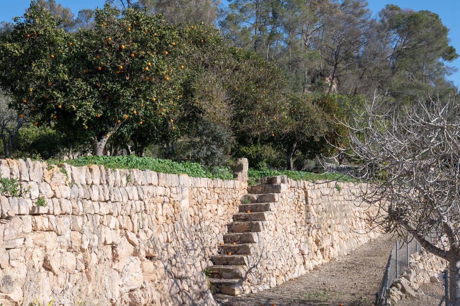 3 slaapkamer Finca/Landhuis te koop in Sineu met garage - € 2.200.000 (Ref: 9615471)