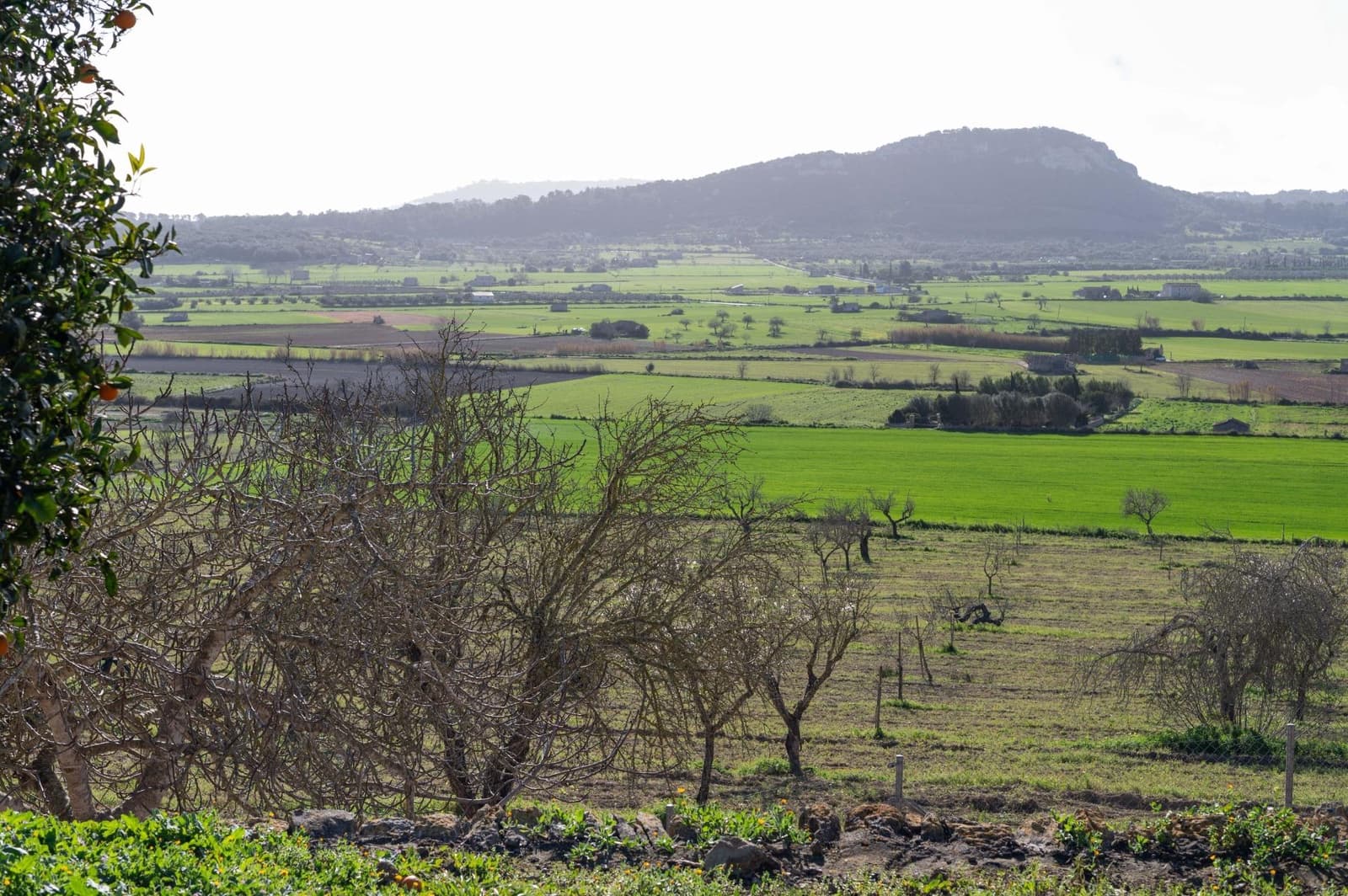 3 bedroom Finca/Country House for sale in Sineu with garage - € 2,200,000 (Ref: 9615471)