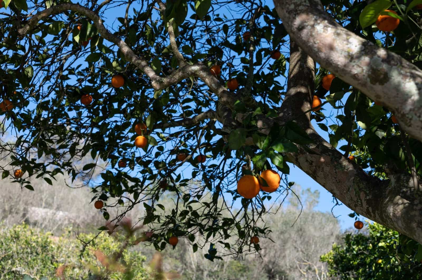 3 soverom Finca/Herregård til salgs i Sineu med garasje - € 2 200 000 (Ref: 9615471)