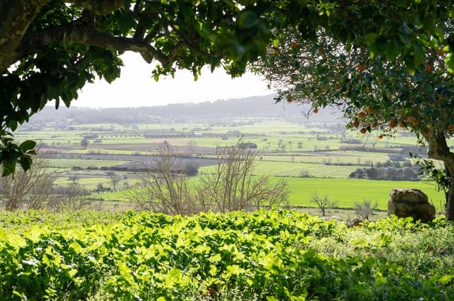 3 bedroom Finca/Country House for sale in Sineu with garage - € 2,200,000 (Ref: 9615471)