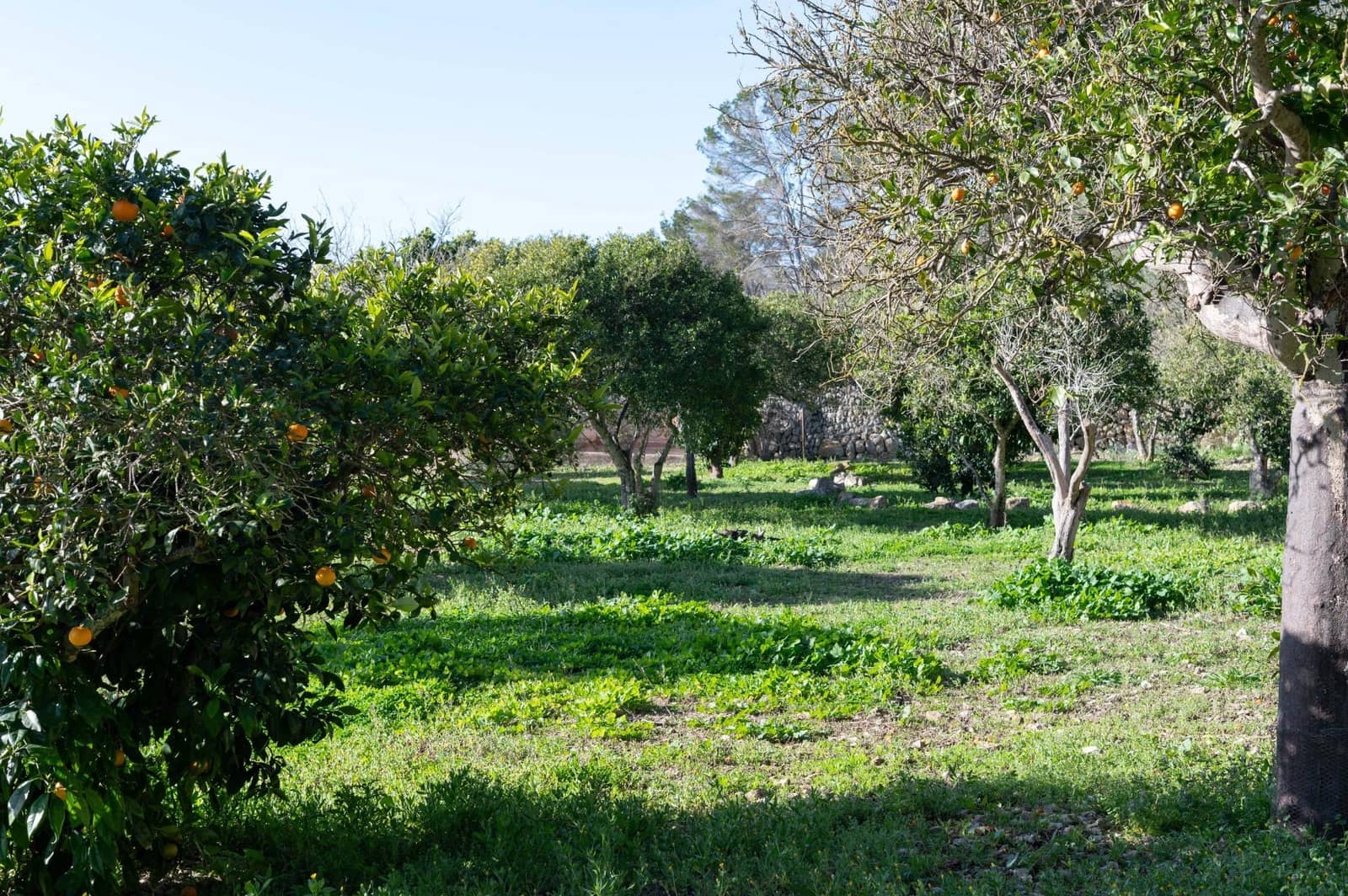 3 soverom Finca/Herregård til salgs i Sineu med garasje - € 2 200 000 (Ref: 9615471)