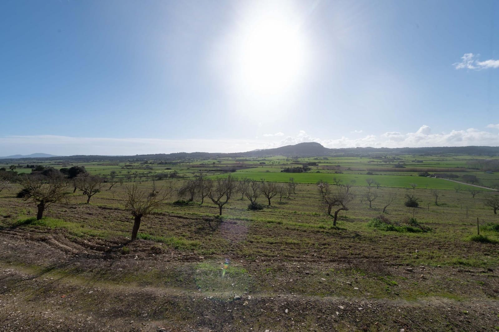 3 chambre Finca/Maison de Campagne à vendre à Sineu avec garage - 1 800 000 € (Ref: 9615471)