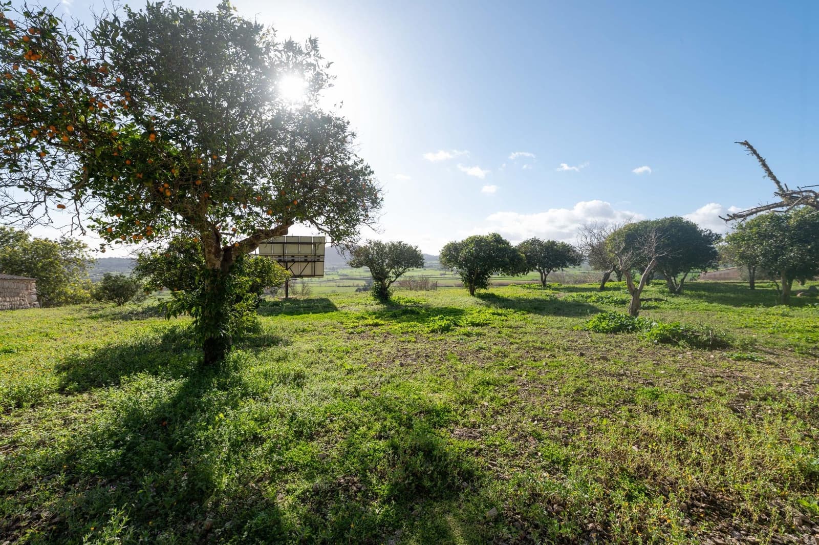 3 chambre Finca/Maison de Campagne à vendre à Sineu avec garage - 1 800 000 € (Ref: 9615471)