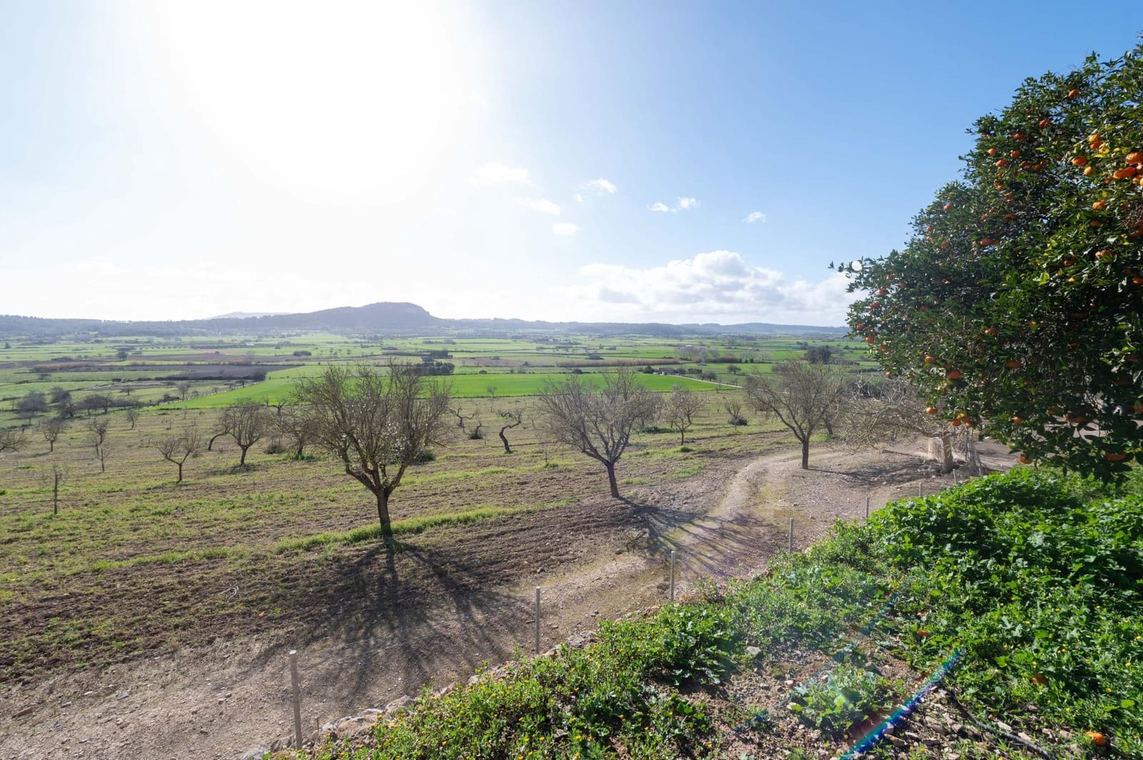 3 chambre Finca/Maison de Campagne à vendre à Sineu avec garage - 1 800 000 € (Ref: 9615471)