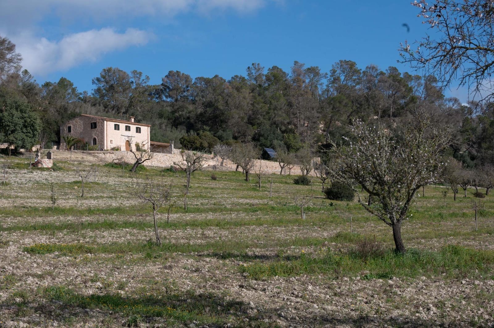 3 chambre Finca/Maison de Campagne à vendre à Sineu avec garage - 1 800 000 € (Ref: 9615471)