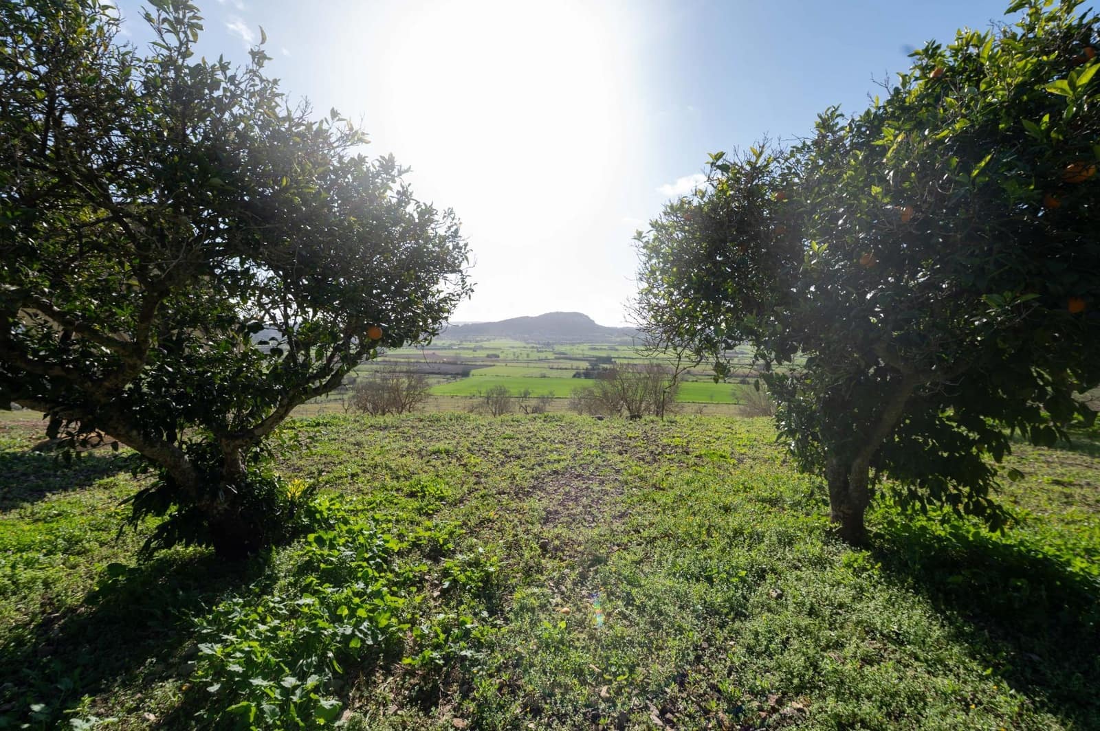3 chambre Finca/Maison de Campagne à vendre à Sineu avec garage - 1 800 000 € (Ref: 9615471)