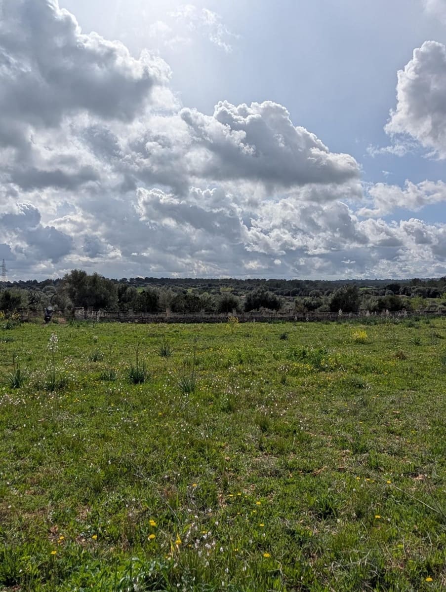 Terreno/Finca Rústica en Sineu en venta - 120.000 € (Ref: 9674243)