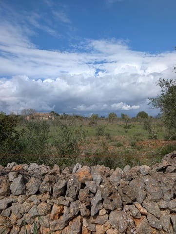 Terreno/Finca Rústica en Sineu en venta - 120.000 € (Ref: 9674243)