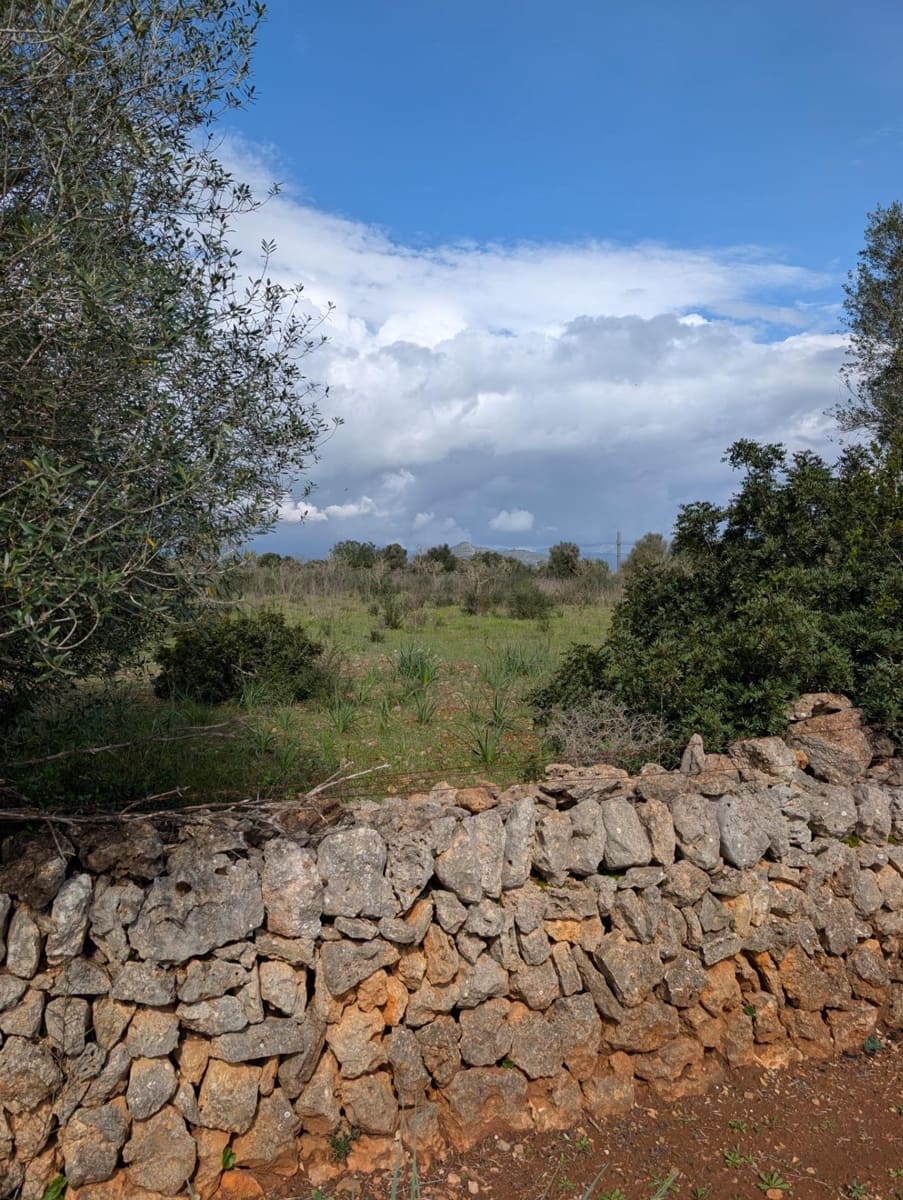 Terreno/Finca Rústica en Sineu en venta - 120.000 € (Ref: 9674243)