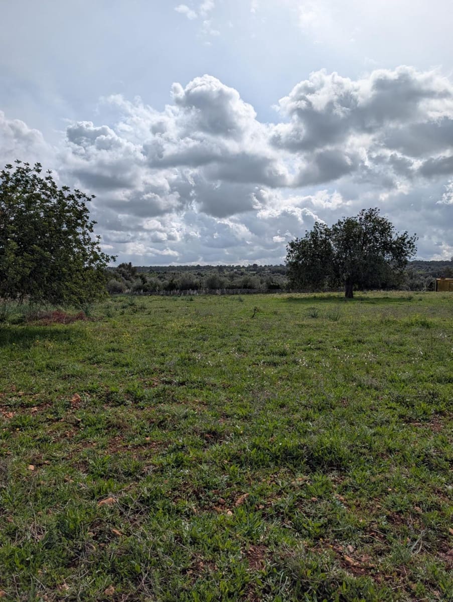 Terreno/Finca Rústica en Sineu en venta - 120.000 € (Ref: 9674243)