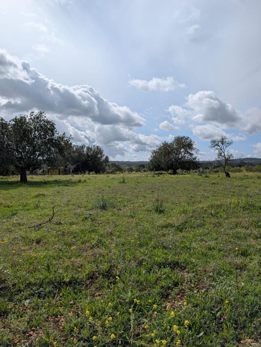 Terreno/Finca Rústica en Sineu en venta - 120.000 € (Ref: 9674243)