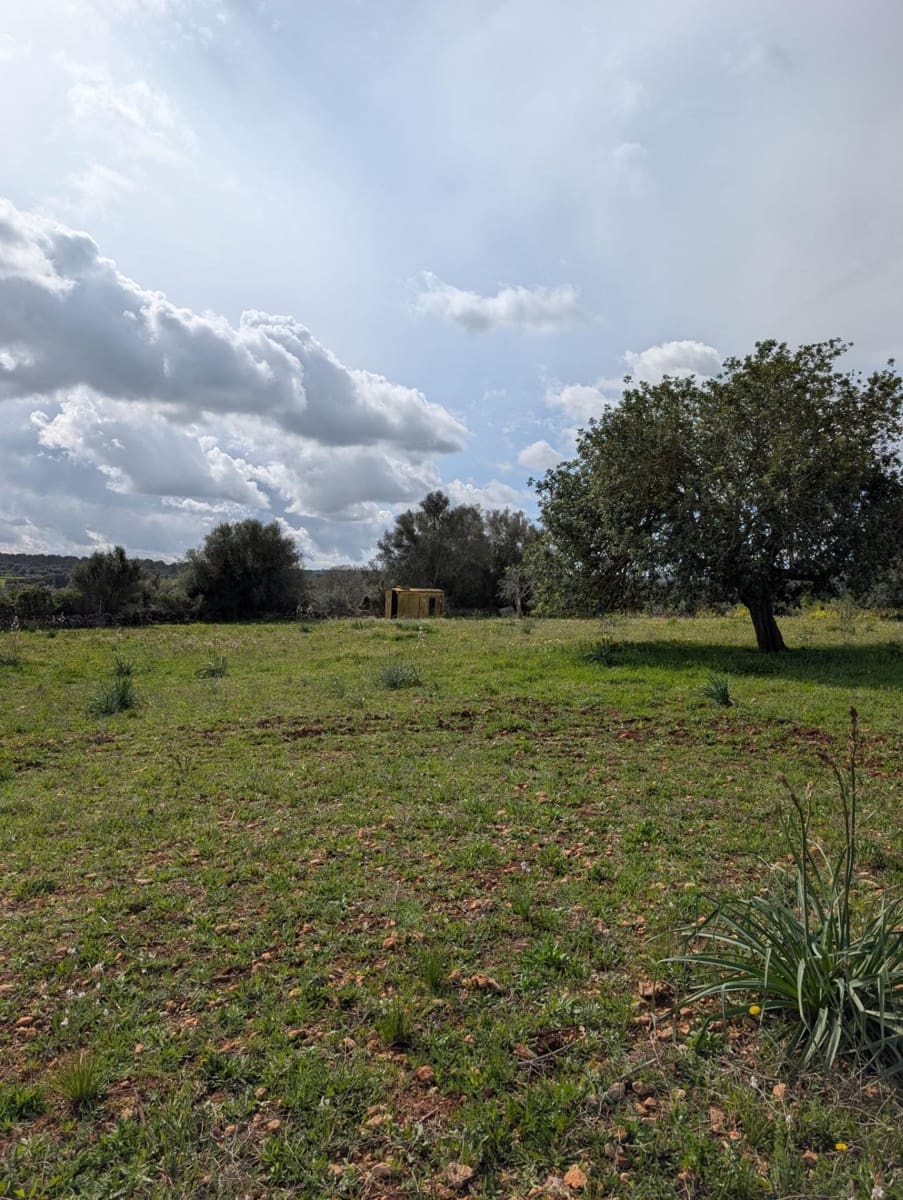 Terreno/Finca Rústica en Sineu en venta - 120.000 € (Ref: 9674243)
