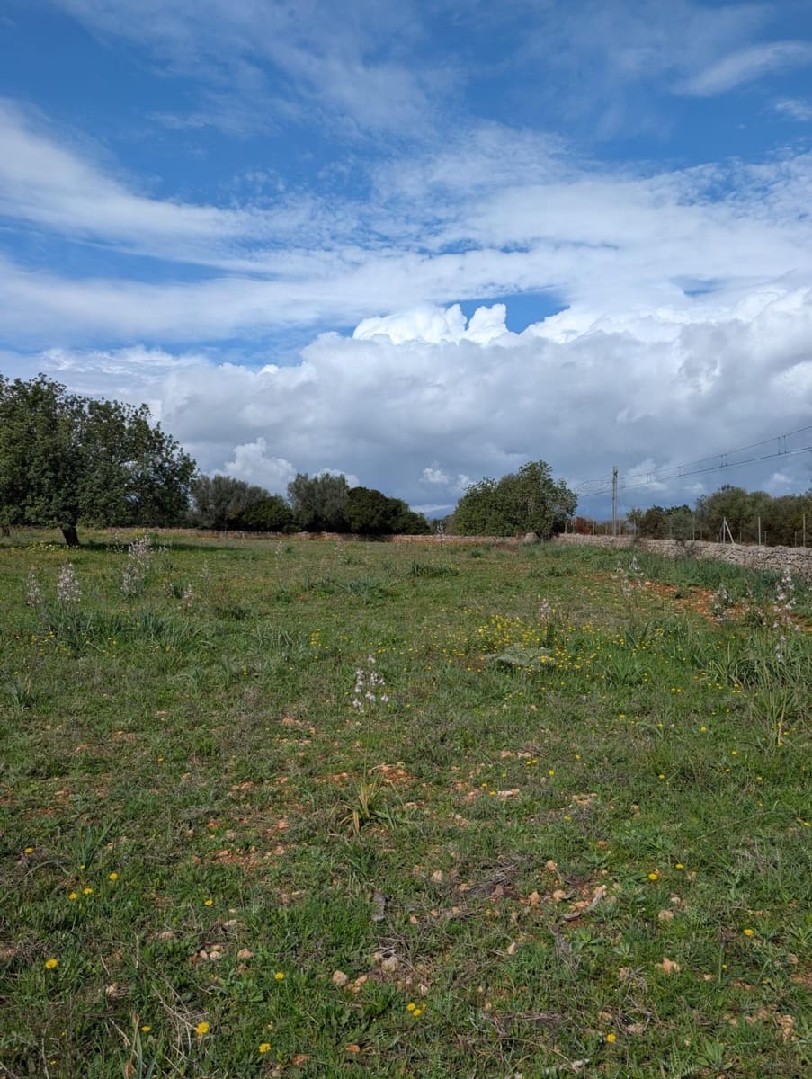 Terreno/Finca Rústica en Sineu en venta - 120.000 € (Ref: 9674243)