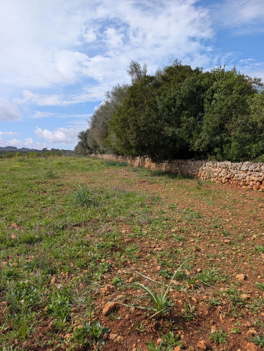 Terreno/Finca Rústica en Sineu en venta - 120.000 € (Ref: 9674243)