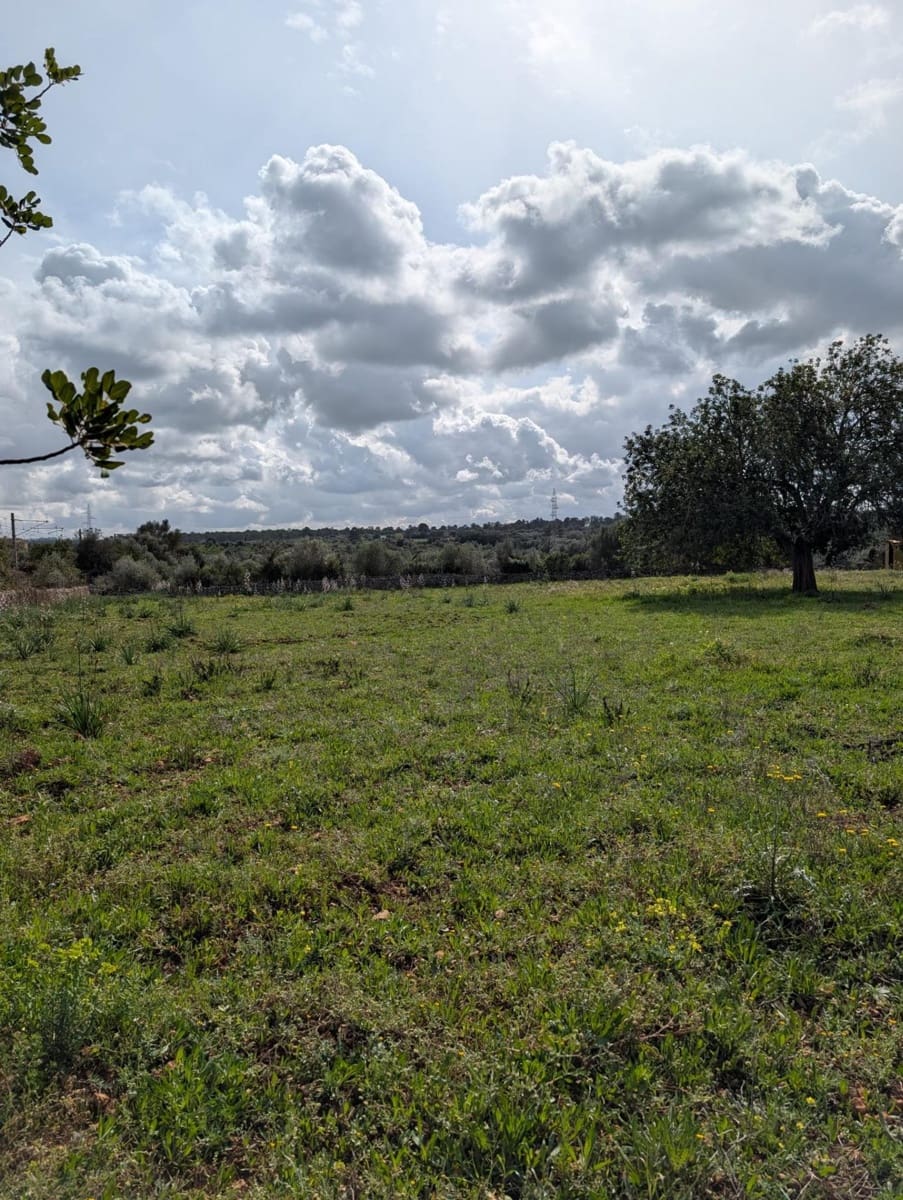 Terreno/Finca Rústica en Sineu en venta - 120.000 € (Ref: 9674243)