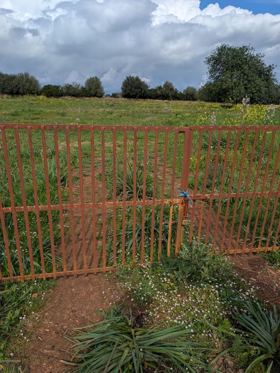 Terreno/Finca Rústica en Sineu en venta - 120.000 € (Ref: 9674243)