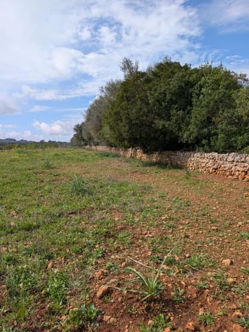 Terreno/Finca Rústica en Sineu en venta - 120.000 € (Ref: 9674243)