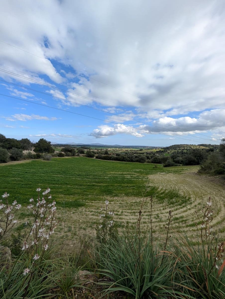 Ubebygd land til salgs i Llubi - € 180 000 (Ref: 9674244)