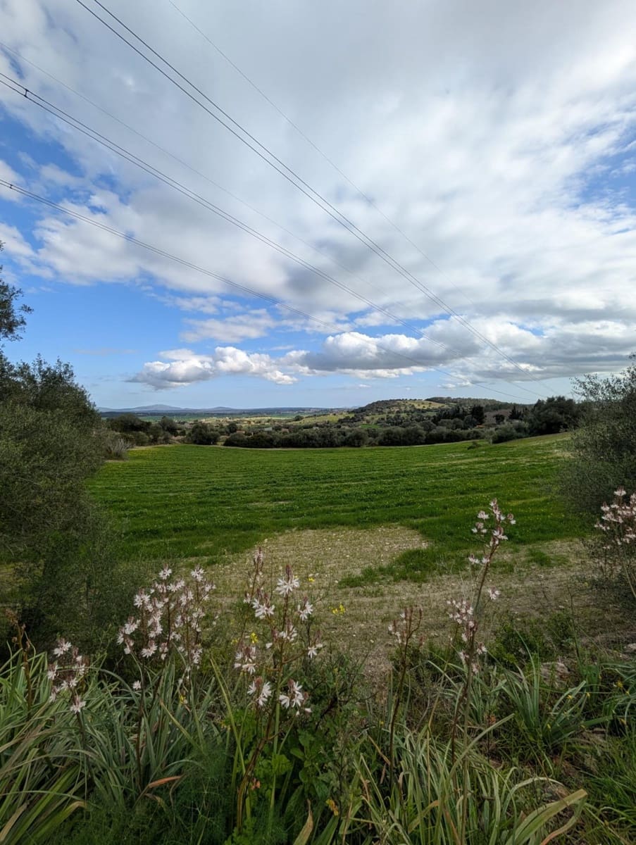 Ubebygd land til salgs i Llubi - € 180 000 (Ref: 9674244)