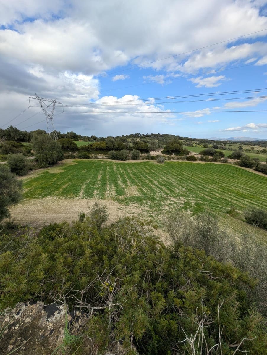 Ubebygd land til salgs i Llubi - € 180 000 (Ref: 9674244)