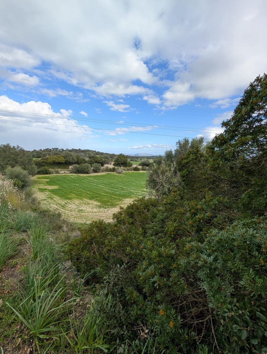 Ubebygd land til salgs i Llubi - € 180 000 (Ref: 9674244)