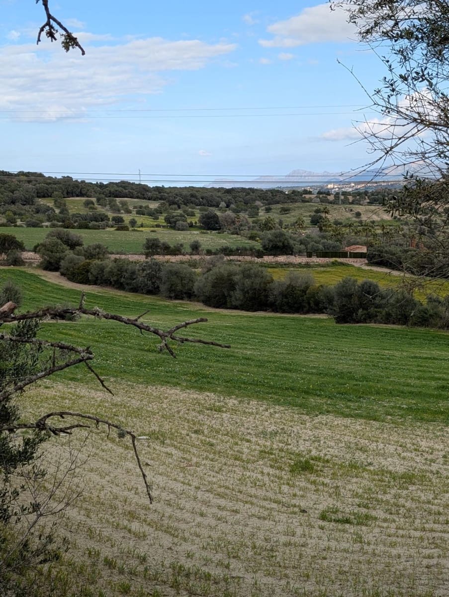 Ubebygd land til salgs i Llubi - € 180 000 (Ref: 9674244)