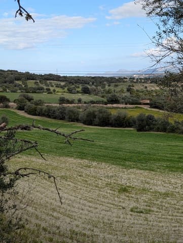 Rakentamaton maa myytävänä paikassa Llubí - 180 000 € (Ref: 9674244)