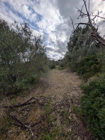 Rakentamaton maa myytävänä paikassa Llubí - 180 000 € (Ref: 9674244)