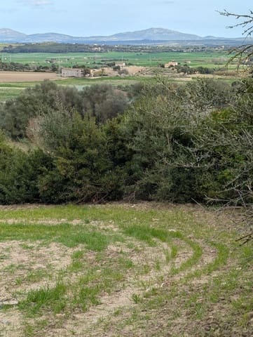 Undeveloped Land for sale in Llubí - € 180,000 (Ref: 9674244)