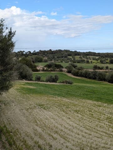 Undeveloped Land for sale in Llubí - € 180,000 (Ref: 9674244)