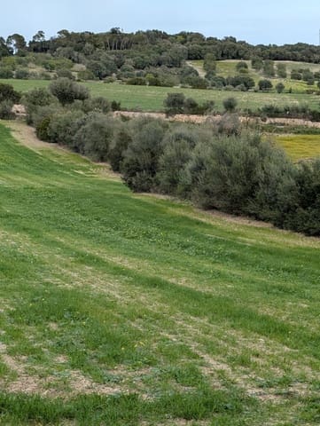 Undeveloped Land for sale in Llubí - € 180,000 (Ref: 9674244)