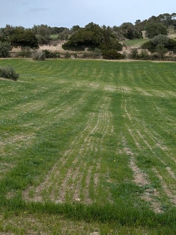 Undeveloped Land for sale in Llubí - € 180,000 (Ref: 9674244)