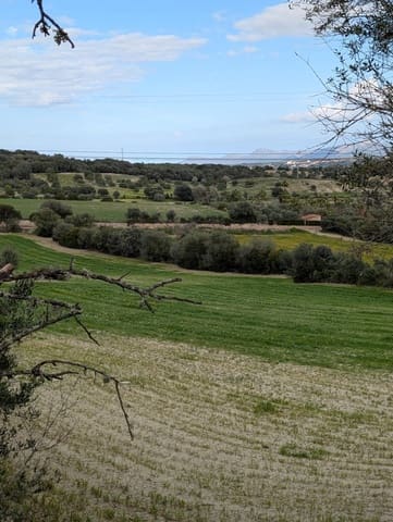 Undeveloped Land for sale in Llubí - € 180,000 (Ref: 9674244)
