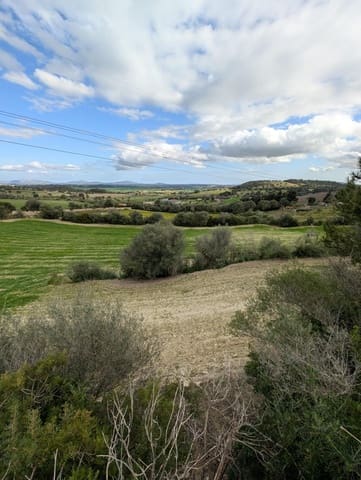 Undeveloped Land for sale in Llubí - € 180,000 (Ref: 9674244)