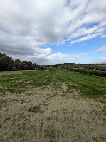 Undeveloped Land for sale in Llubí - € 180,000 (Ref: 9674244)