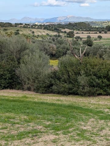 Undeveloped Land for sale in Llubí - € 180,000 (Ref: 9674244)