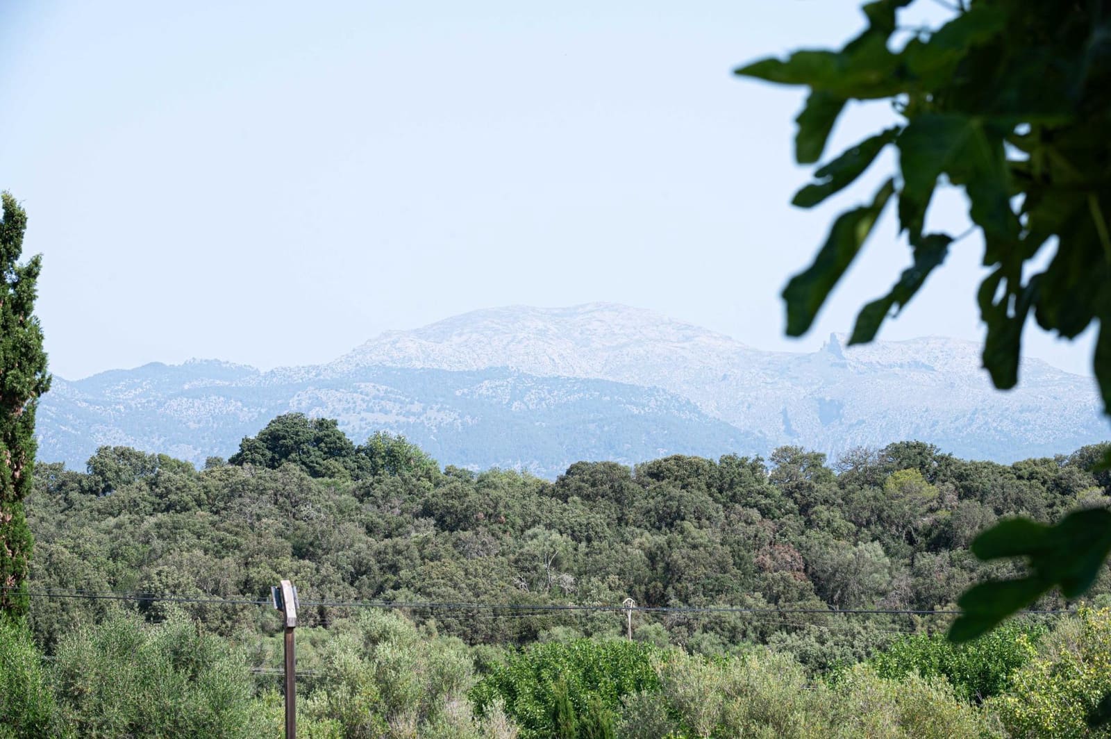 4 sovrum Finca/Hus på landet till salu i Llubi - 2 200 000 € (Ref: 9783011)