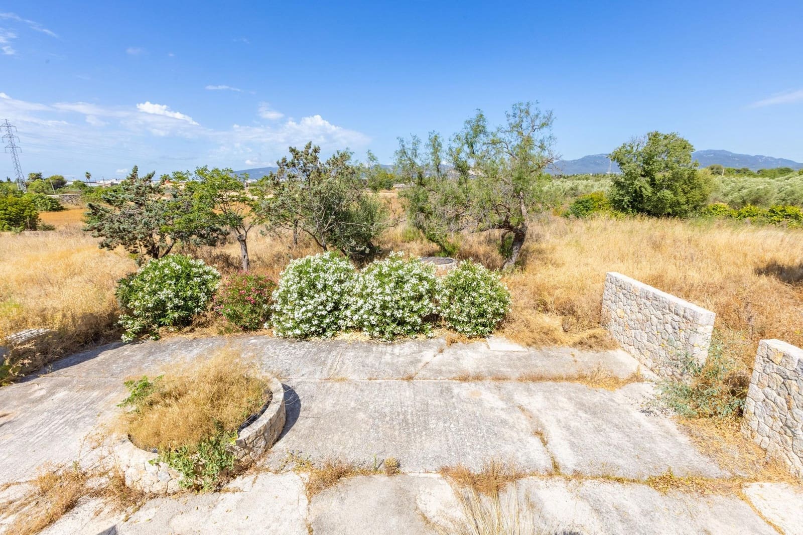 7 bedroom Finca/Country House for sale in Palma de Mallorca with pool garage - € 3,900,000 (Ref: 9957994)