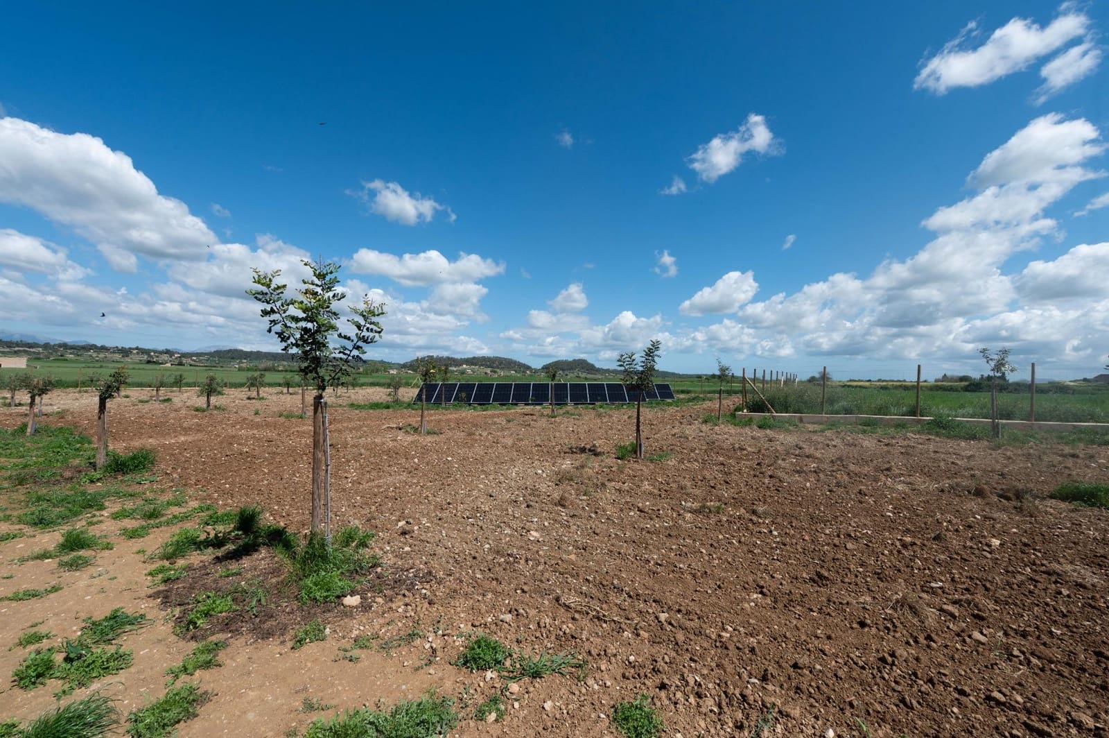 4 bedroom Finca/Country House for sale in Sineu with pool garage - € 2,400,000 (Ref: 9957995)