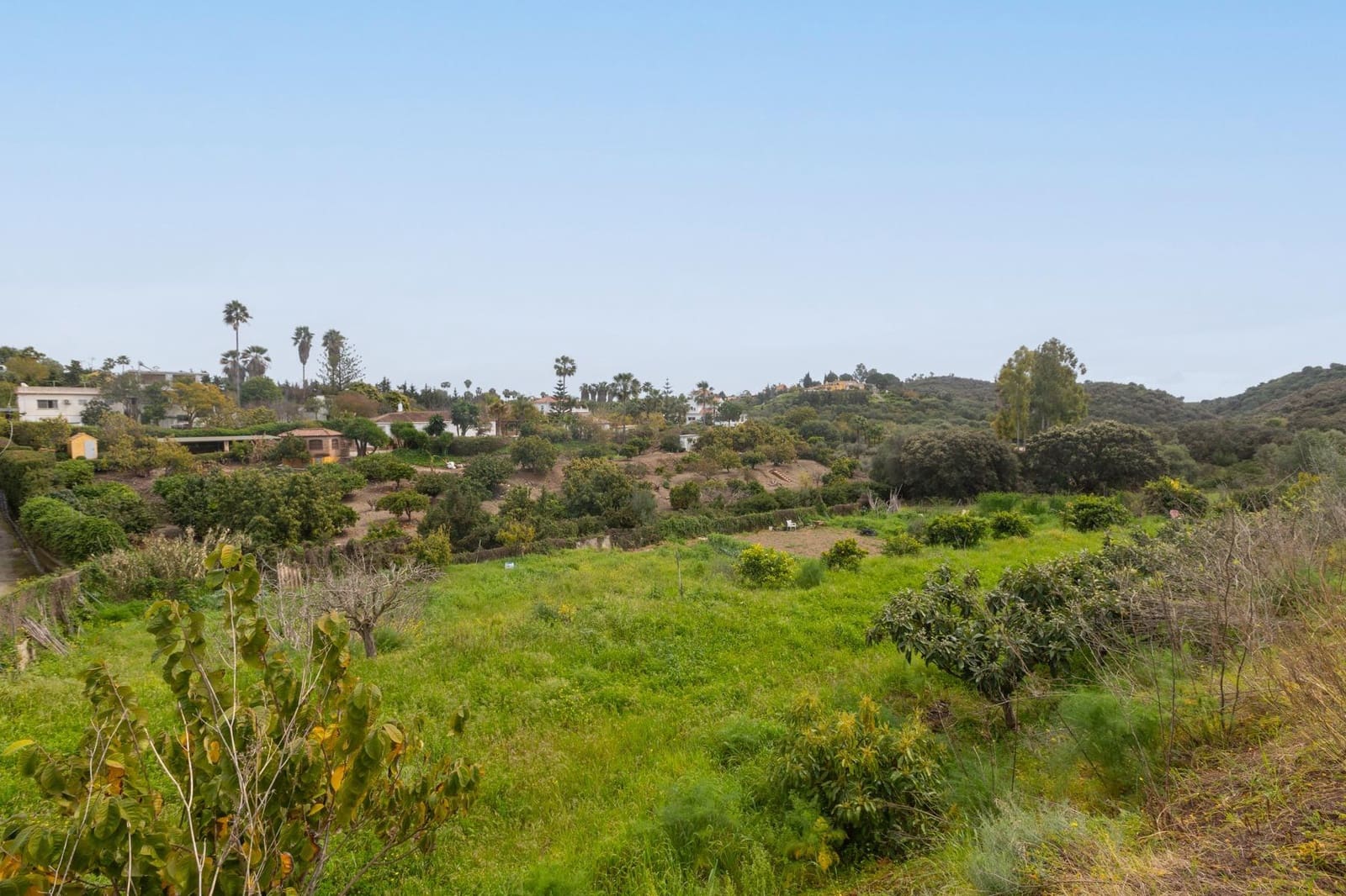 Finca/Casa di Campagna in vendita in El Padron con piscina - 368.000 € (Rif: 8905584)