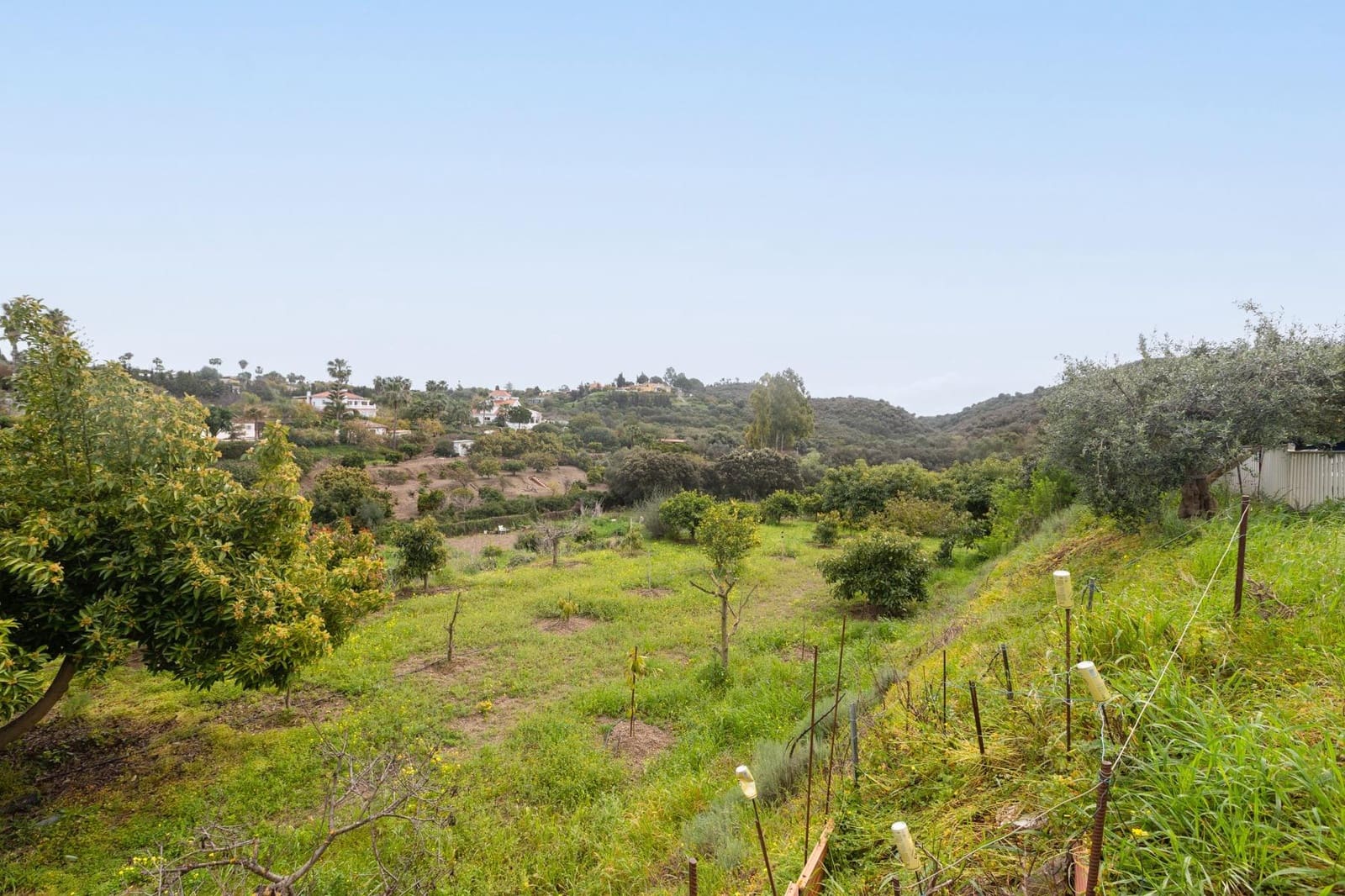 Finca/Casa di Campagna in vendita in El Padron con piscina - 368.000 € (Rif: 8905584)