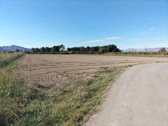 Grond te koop in Granja de Rocamora - € 37.200 (Ref: 9406927)