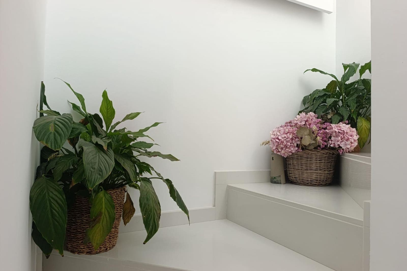 3 sovrum Takvåning till salu i Cordoba stad med pool garage - 464 900 € (Ref: 9815826)