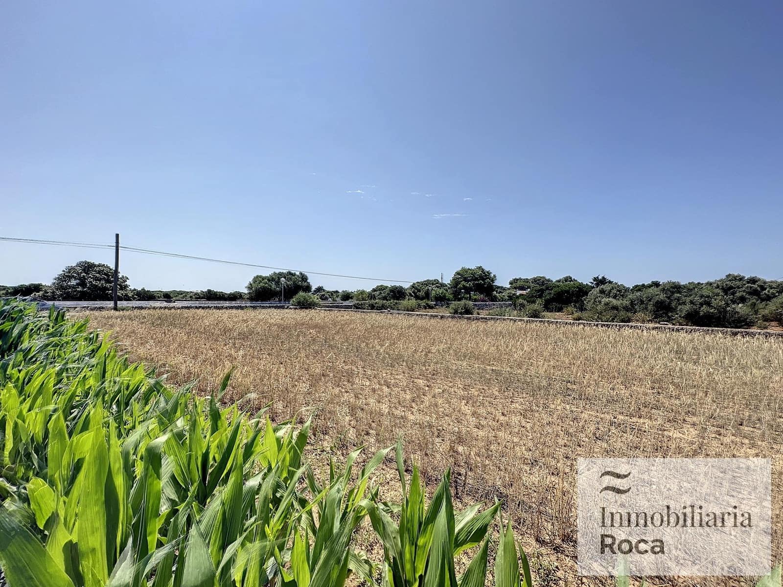 10 soveværelse Finca/Landehus til salg i Es Canutells med swimmingpool - € 2.200.000 (Ref: 8734144)