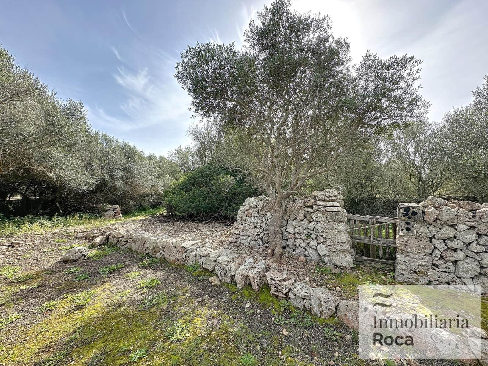 5 soveværelse Finca/Landehus til salg i Llucmacanes med swimmingpool garage - € 1.300.000 (Ref: 9029511)