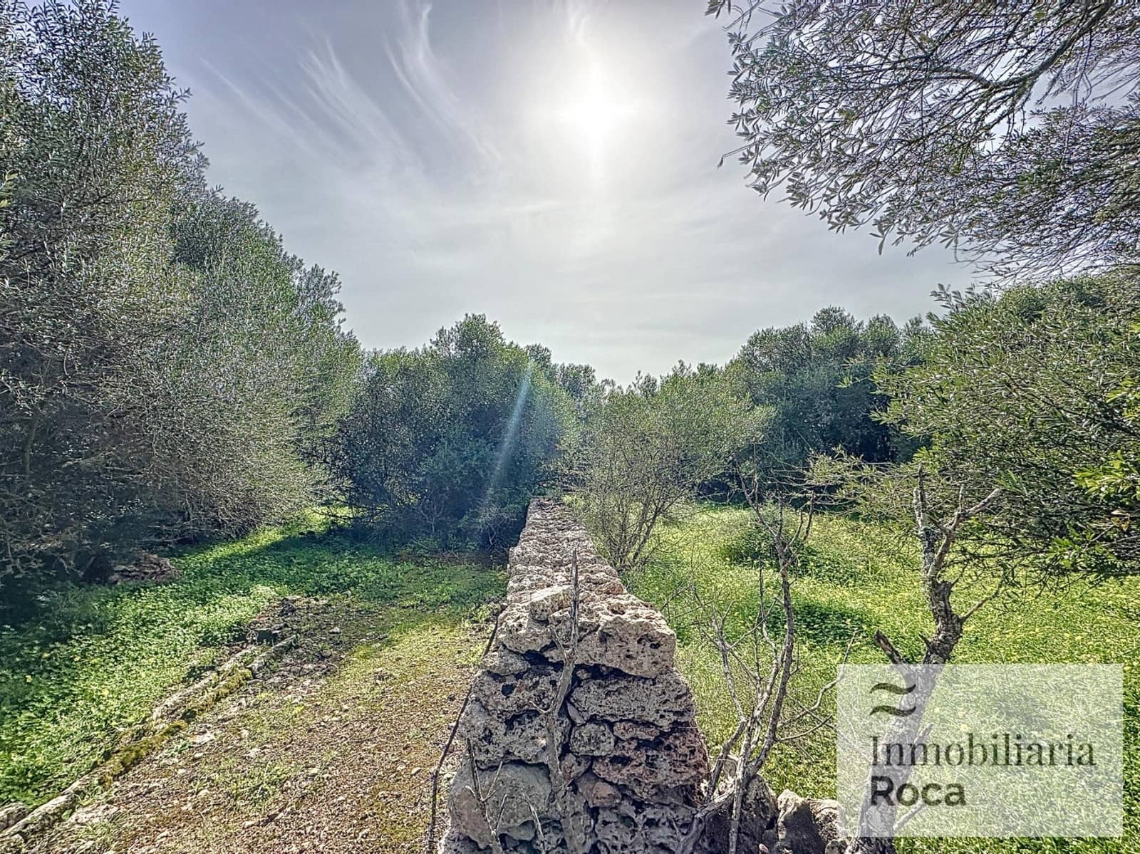 5 soveværelse Finca/Landehus til salg i Llucmacanes med swimmingpool garage - € 1.300.000 (Ref: 9029511)