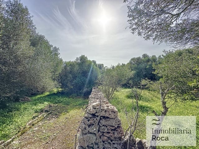 5 sypialnia Finka/Dom wiejski na sprzedaż w Llucmaçanes, Mahón / Maó z basenem garażem - 1 300 000 € (Ref: 9029511)