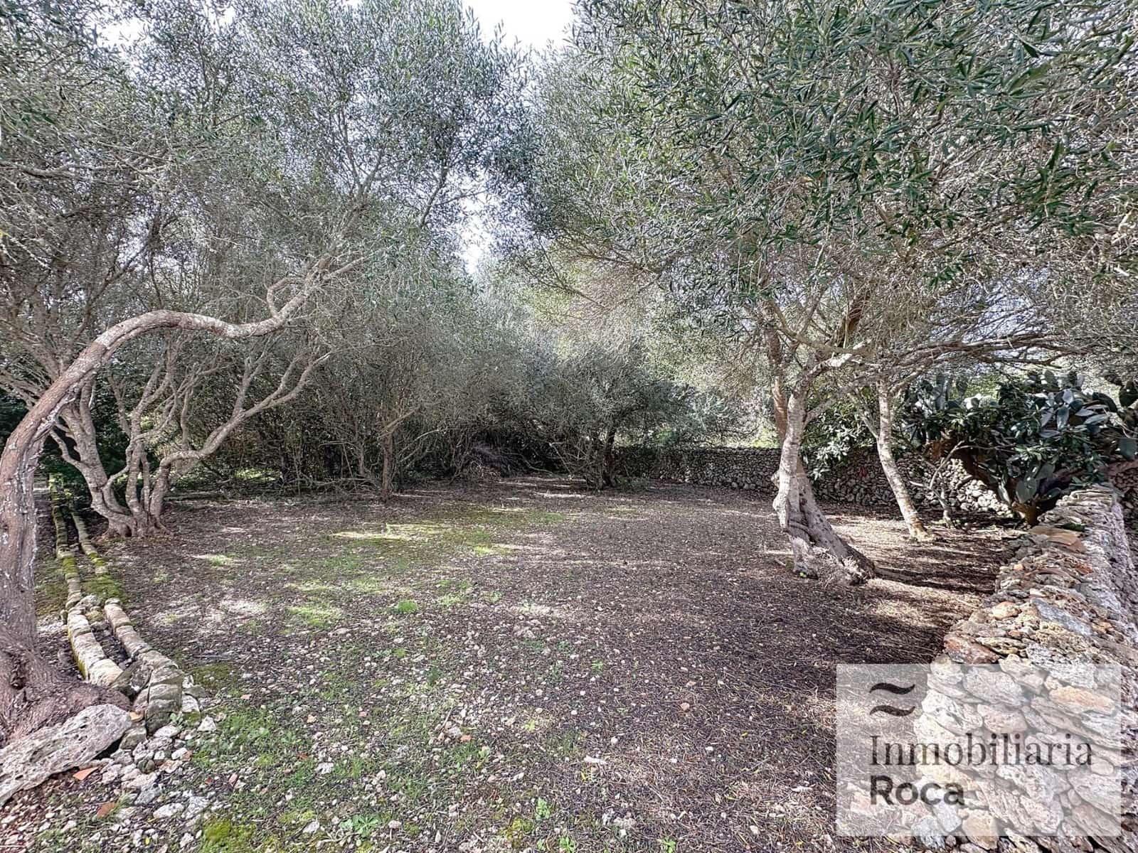 5 soveværelse Finca/Landehus til salg i Llucmacanes med swimmingpool garage - € 1.300.000 (Ref: 9029511)